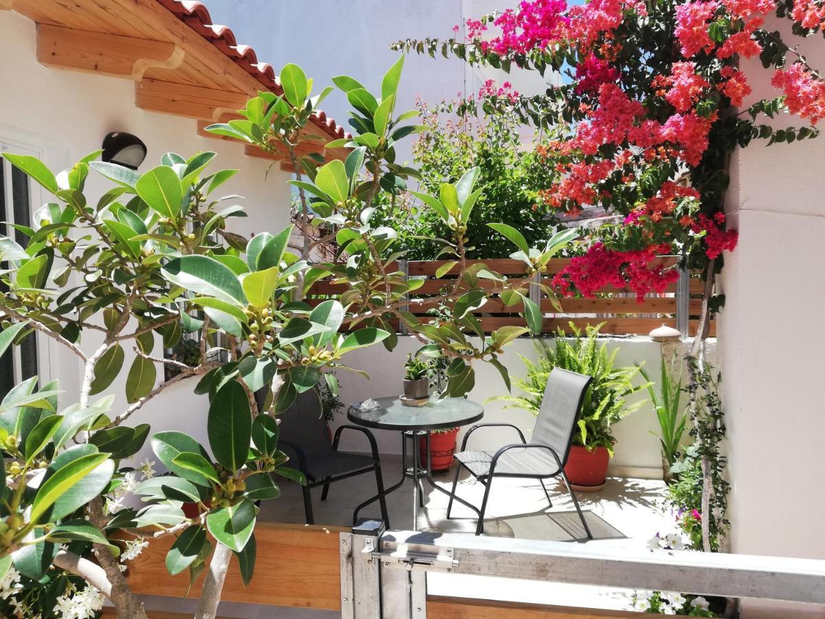 Small With Yard Apartamento