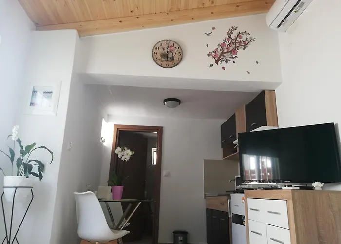 Small Studio With Yard
